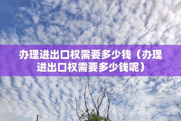办理进出口权需要多少钱（办理进出口权需要多少钱呢）