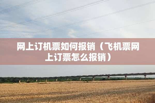 网上订机票如何报销（***网上订票怎么报销）