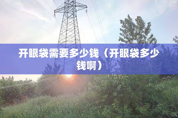 开眼袋需要多少钱（开眼袋多少钱啊）