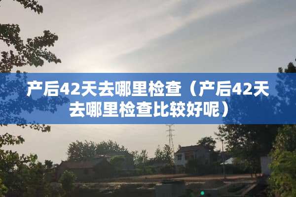 产后42天去哪里检查（产后42天去哪里检查比较好呢）