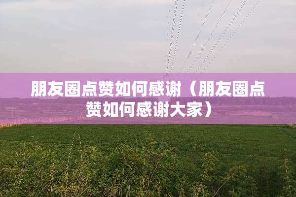 朋友圈点赞如何感谢（朋友圈点赞如何感谢大家）