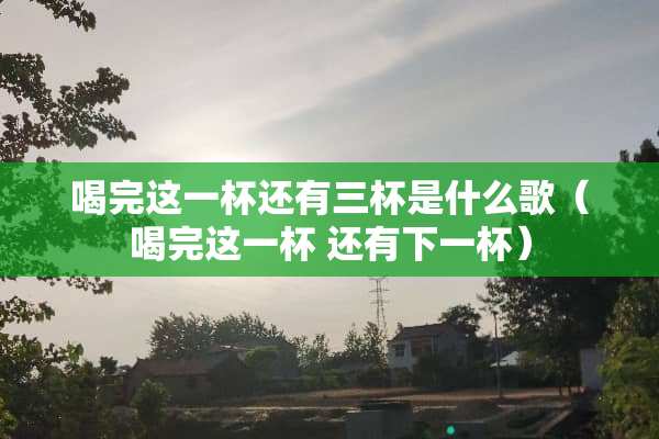 喝完这一杯还有三杯是什么歌（喝完这一杯 还有下一杯）