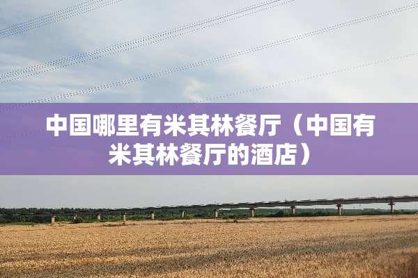 中国哪里有米其林餐厅（中国有米其林餐厅的酒店）