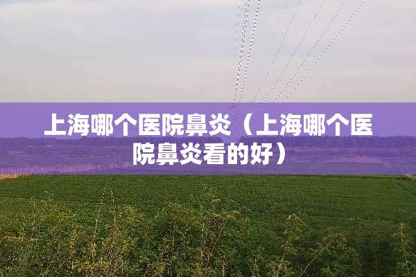 上海哪个医院鼻炎（上海哪个医院鼻炎看的好）