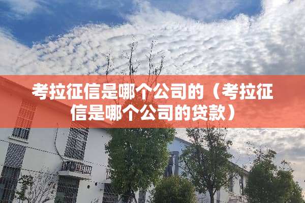 考拉征信是哪个公司的（考拉征信是哪个公司的贷款）