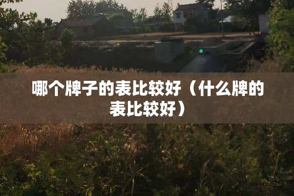 哪个牌子的表比较好（什么牌的表比较好）