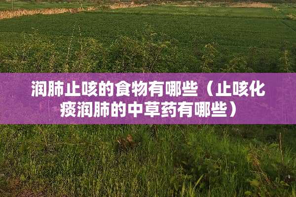 润肺止咳的食物有哪些（止咳化痰润肺的中草药有哪些）