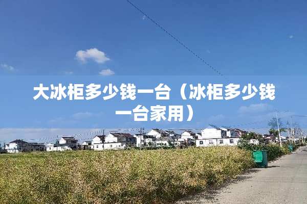 大冰柜多少钱一台（冰柜多少钱一台家用）