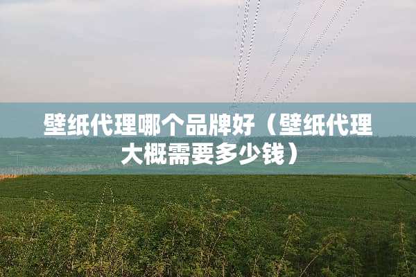 壁纸代理哪个品牌好（壁纸代理大概需要多少钱）