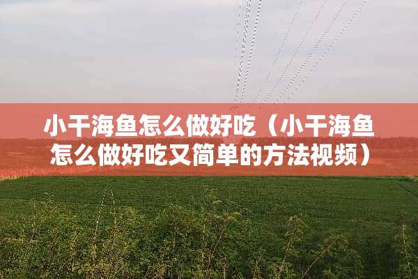 小干海鱼怎么做好吃（小干海鱼怎么做好吃又简单的方法视频）