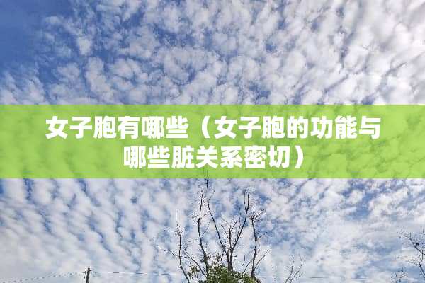 女子胞有哪些（女子胞的功能与哪些脏关系密切）
