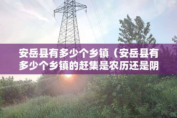 安岳县有多少个乡镇（安岳县有多少个乡镇的赶集是农历还是*历）