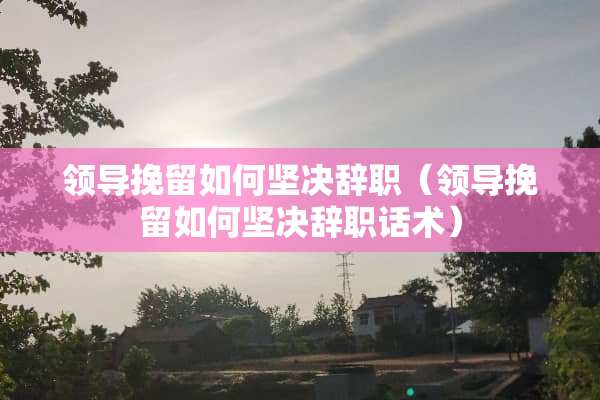 领导挽留如何坚决辞职（领导挽留如何坚决辞职话术）