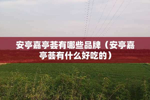 安亭嘉亭荟有哪些品牌（安亭嘉亭荟有什么好吃的）