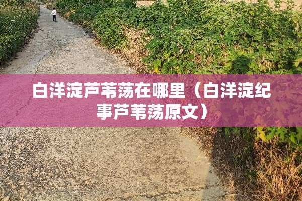 白洋淀芦苇荡在哪里（白洋淀纪事芦苇荡原文）