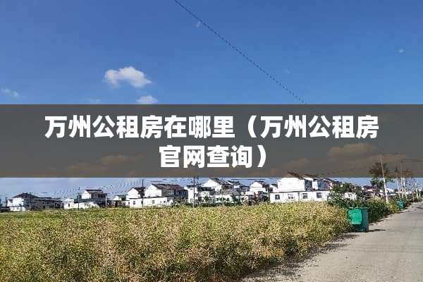 万州公租房在哪里（万州公租房官网查询）