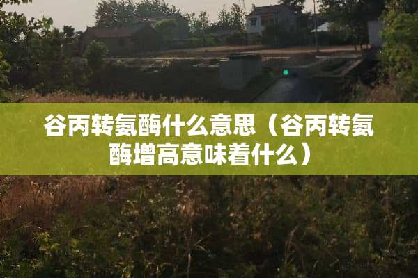 谷丙转氨酶什么意思（谷丙转氨酶增高意味着什么）
