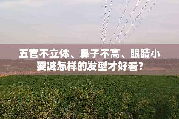 五官不立体、鼻子不高、眼睛小要减怎样的发型才好看？