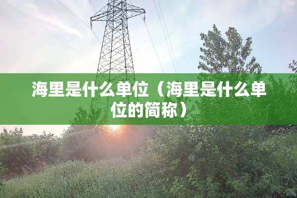 海里是什么单位（海里是什么单位的简称）