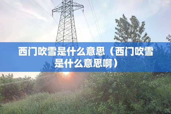 西门吹雪是什么意思（西门吹雪是什么意思啊）