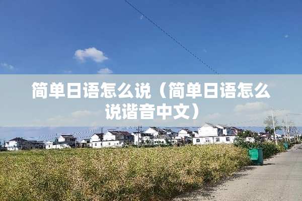 简单日语怎么说（简单日语怎么说谐音中文）