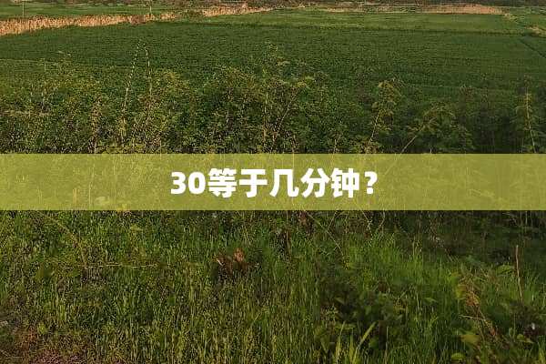 30等于几分钟？