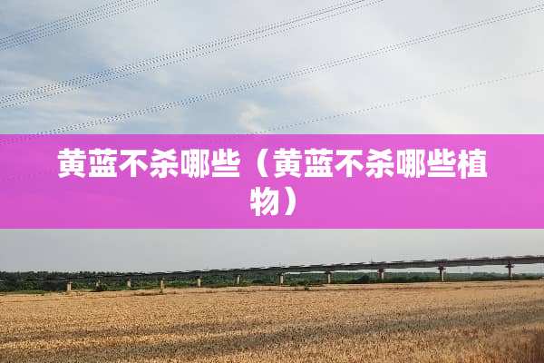 黄蓝不杀哪些（黄蓝不杀哪些植物）