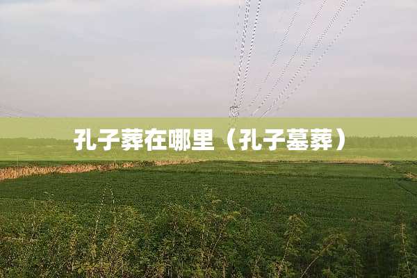 孔子葬在哪里（孔子墓葬）