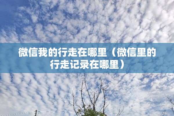 微信我的行走在哪里（微信里的行走记录在哪里）