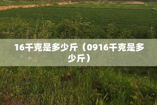 16千克是多少斤（0916千克是多少斤）