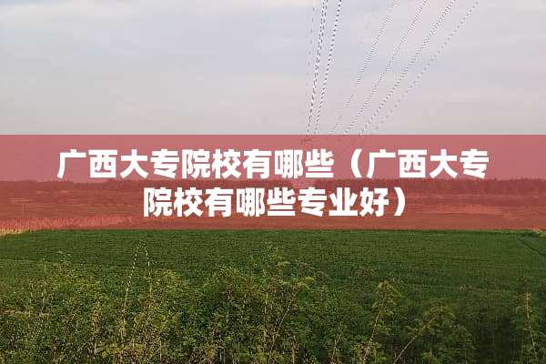广西大专院校有哪些（广西大专院校有哪些专业好）