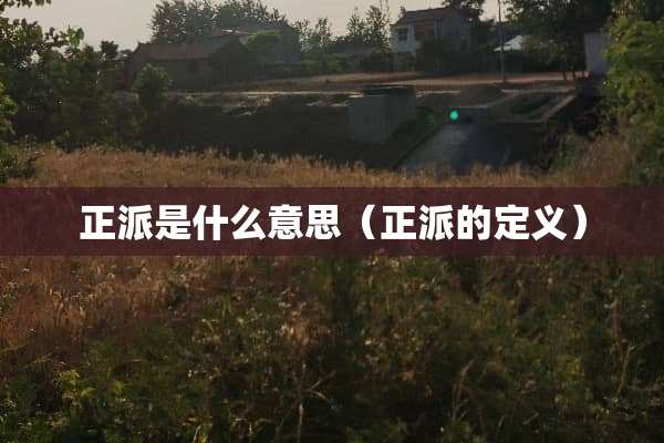 正派是什么意思（正派的定义）