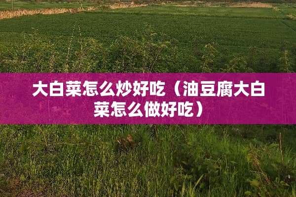 大白菜怎么炒好吃（油豆腐大白菜怎么做好吃）
