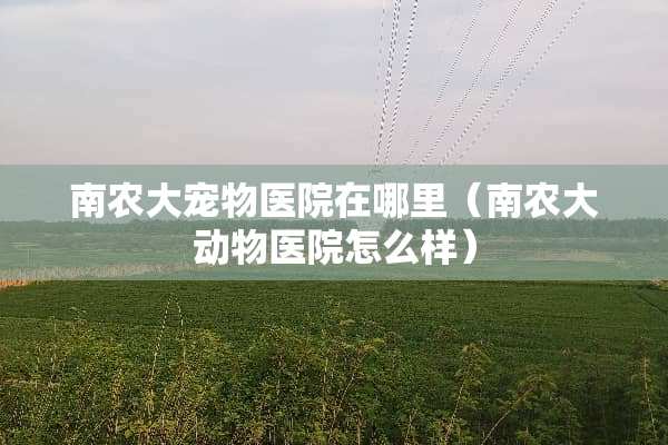 南农大宠物医院在哪里（南农大动物医院怎么样）