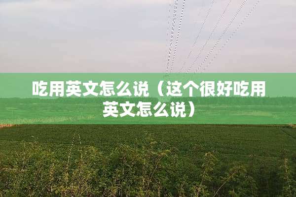 吃用英文怎么说（这个很好吃用英文怎么说）