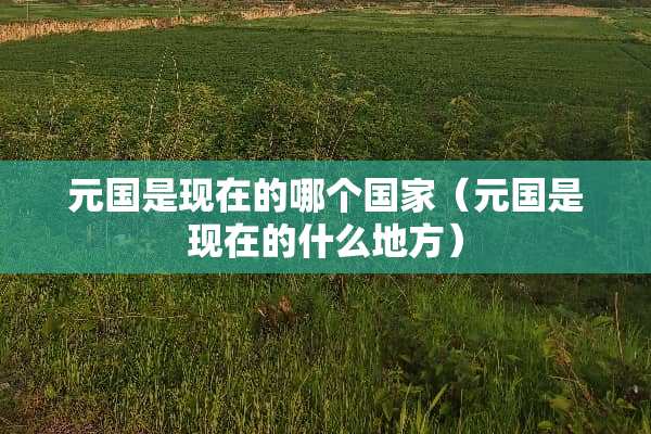 元国是现在的哪个国家（元国是现在的什么地方）