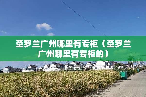 圣罗兰广州哪里有专柜（圣罗兰广州哪里有专柜的）