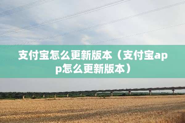 支付宝怎么更新版本（支付宝app怎么更新版本）