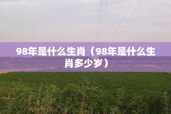 98年是什么生肖（98年是什么生肖多少岁）