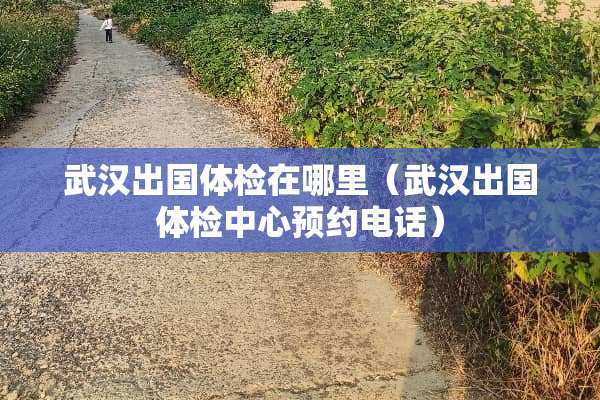 武汉出国体检在哪里（武汉出国体检中心预约电话）