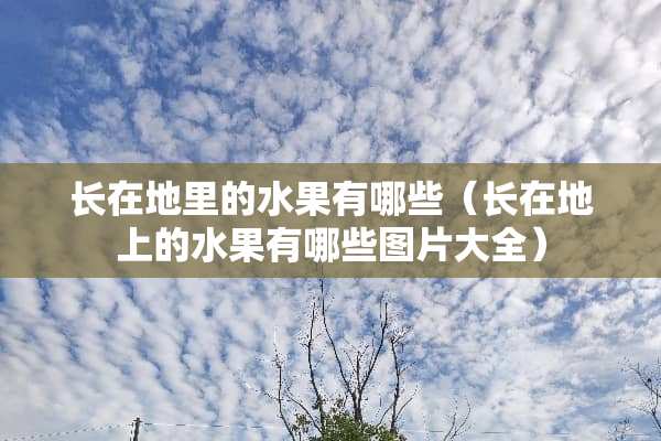 长在地里的水果有哪些（长在地上的水果有哪些图片大全）