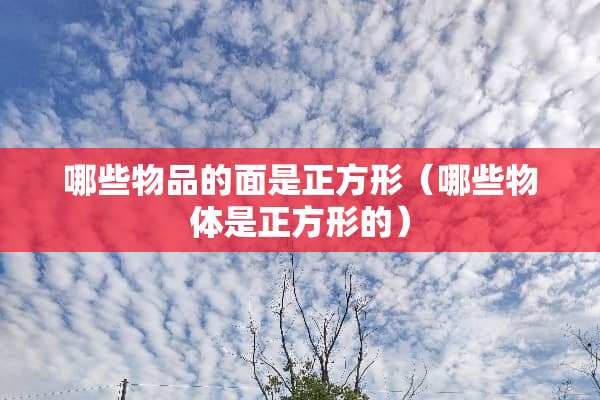 哪些物品的面是正方形（哪些物体是正方形的）