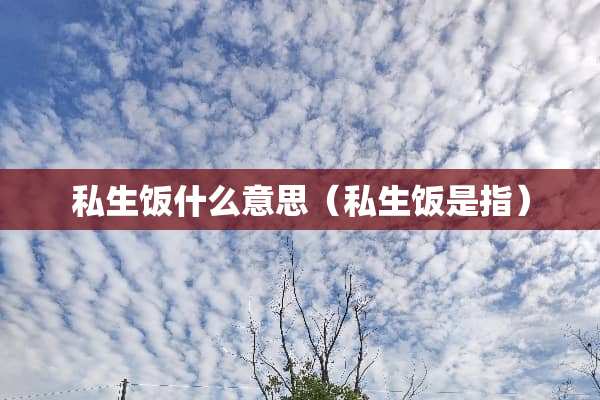 私生饭什么意思（私生饭是指）