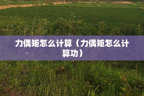 力偶矩怎么计算（力偶矩怎么计算功）