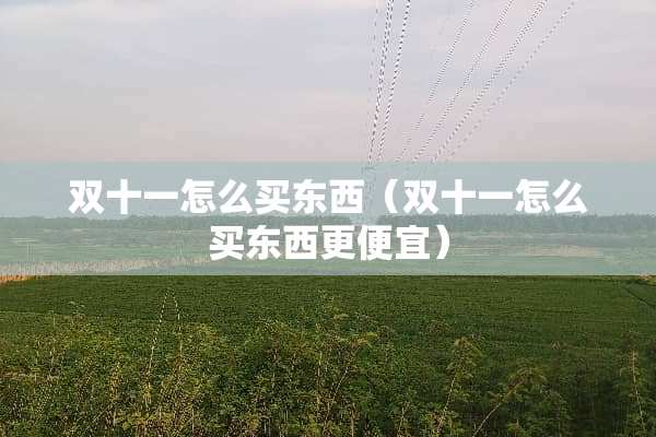 双十一怎么买东西（双十一怎么买东西更便宜）