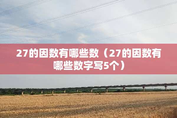 27的因数有哪些数（27的因数有哪些数字写5个）