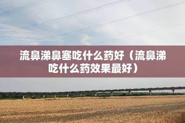 流鼻涕鼻塞吃什么药好（流鼻涕吃什么药效果最好）