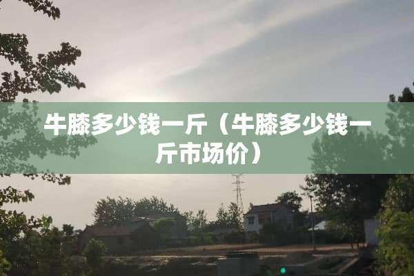 牛膝多少钱一斤（牛膝多少钱一斤市场价）