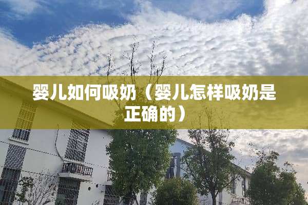 婴儿如何吸奶（婴儿怎样吸奶是正确的）
