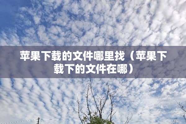 苹果下载的文件***（苹果下载下的文件在哪）